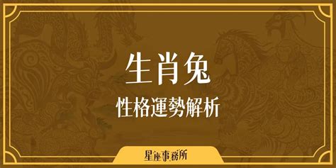 生肖兔性格|生肖兔性格優缺點、運勢深度分析、年份、配對指南